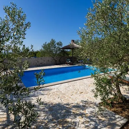 Maslina By Guide Metković